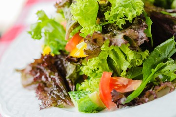 Salad, Lettuce, Food.