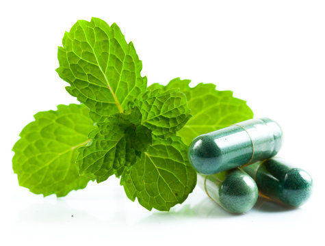 Organic capsule with mint leaves