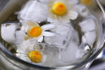 Glass of cold chamomile tea with ice cubes and chamomile flowers, close-up