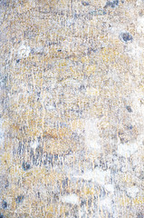 Close Up Pattern Of Tree Bark Texture For Background