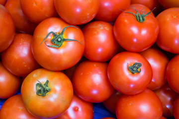 A lot of red tomato