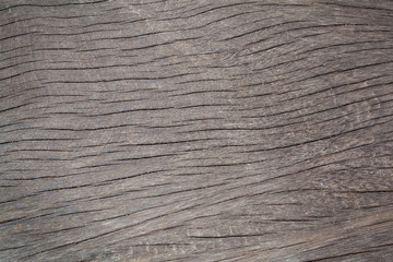 Fototapeta premium wood texture
