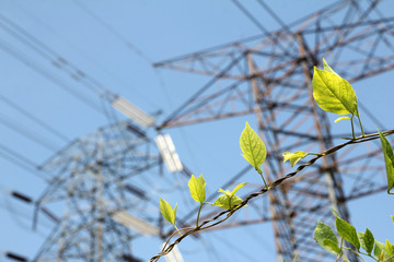 Green leaves with grid energy towers in background depicting green energy