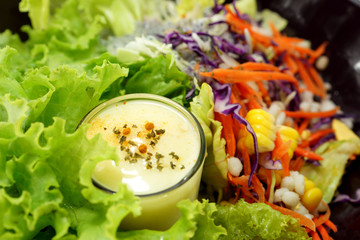 Mixed vegetable salad and Masala cream.