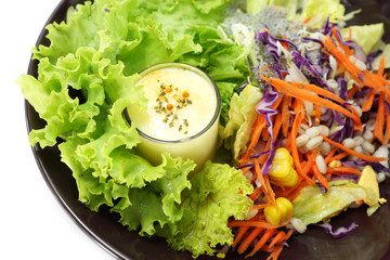 Mixed vegetable salad and Masala cream.