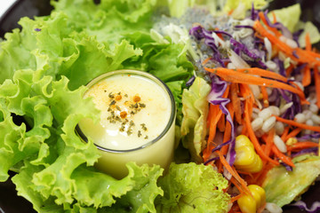Mixed vegetable salad and Masala cream.