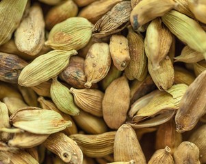 Food, indian, onion.