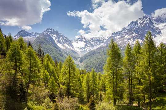 Valmalenco (IT) - Valle Ventina