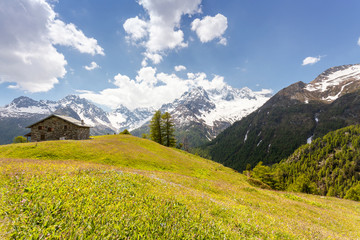 Fototapeta na wymiar Valmalenco (IT) - Alpe dell'oro