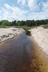 Ditch.