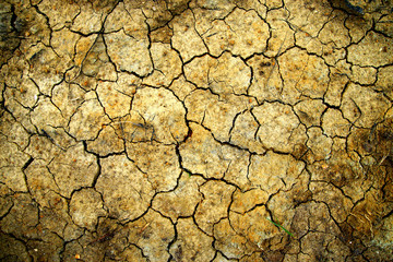 Soil losses Because of global warming.