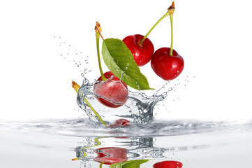 Obst 410