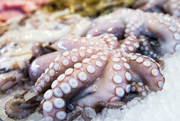 Mediterranean octopus and other seafood in the Greek market - 84501019