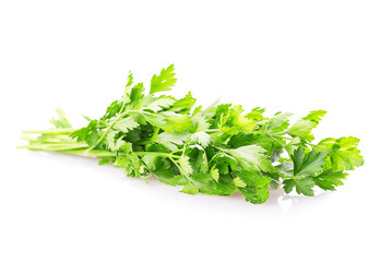 leaf parsley