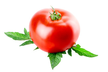 one red tomato with green leaf