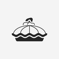 pie icon