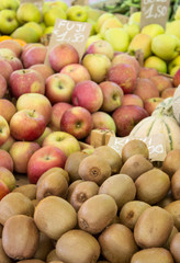 apples and kiwi fruit / Display with lots of fresh kiwis and apples
