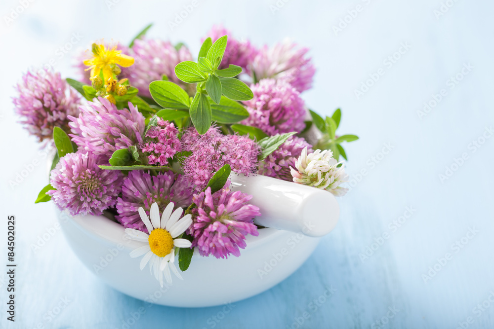 Canvas Prints colorful medical flowers and herbs in mortar