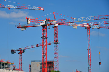 Groupe de grues de chantier 