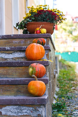 pumpkin stone stairs