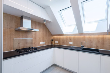 Contemporary kitchen interior