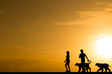 Fototapeta na wymiar Silhouette people walking with the dog at sunset