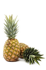 Pineapple fruit on a white background.