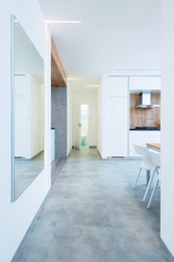Hallway interior of contemporary apartment