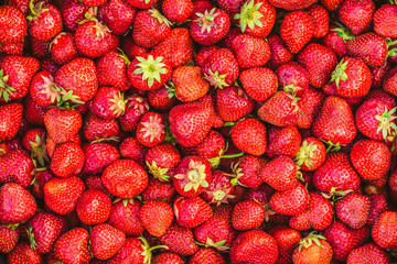 Fresh Strawberry Background