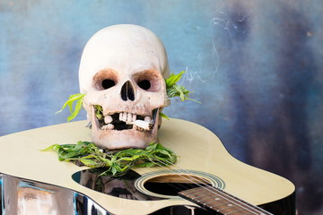 Skull on Guitar and Green Cannabis Leaf