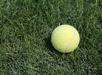 Yellow tennis ball on green grass
