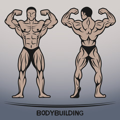 Bodybuilder. Position the front and rear.