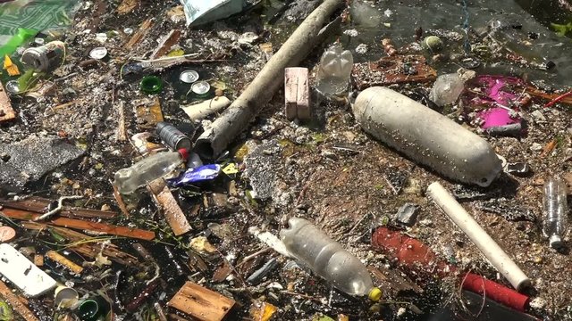 Garbage floats in water in stockholm sweden 