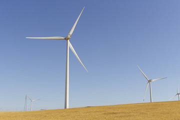 Fototapeta premium Several wind generators at full capacity