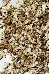 Golden popcorn