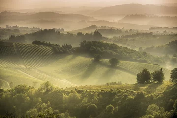 Fototapeten Tuscan Hills © Mizio70
