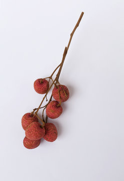 Red Lychee with space on white background vertical style