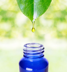 Organic bio alternative medicine.Essemtial oil.Skin care.Drop from green leaf. 