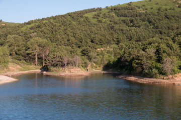Forest and Lake