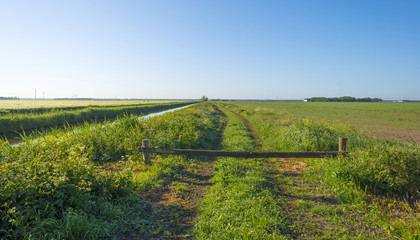 Canal through the countryside at dawn in spring