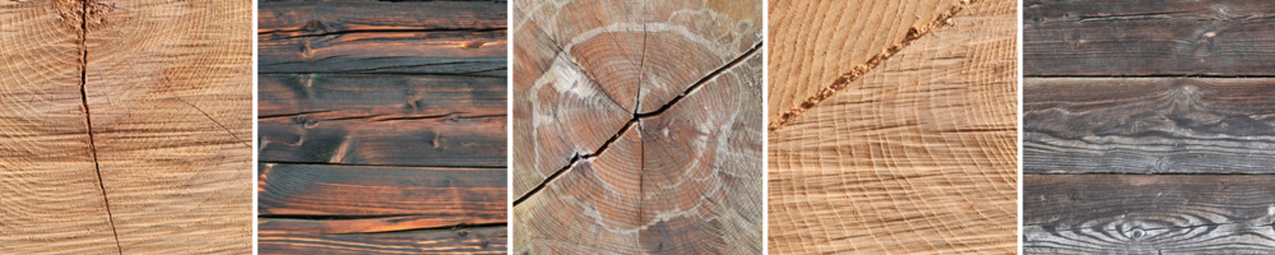 holz