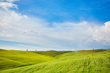hills in sunny day Tuscany, Italy