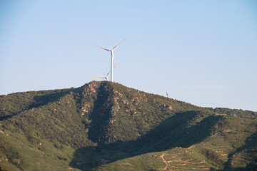 wind farm