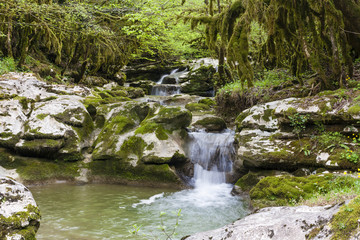 Fototapeta na wymiar gorge in Abkhazia