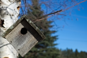 Bird house