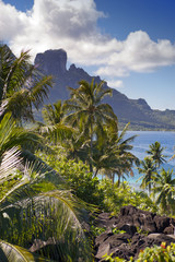 Fototapeta na wymiar View of the Otemanu mountain through the palms and ocean. Bora-Bora. Polynesia