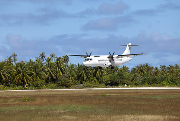 Airplane landing on a landing band among palm trees