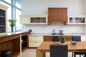 Modern kitchen interior and furniture