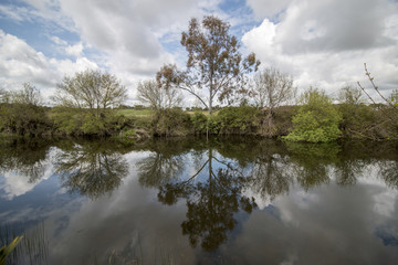 View of a beautiful scenic landscape of a fresh stream of water in the Alentejo, Portugal.