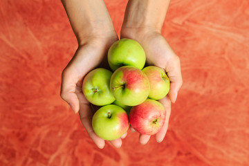 Green apples in woman's hands on red background